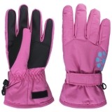 Ski Glove