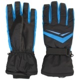 Ski Glove
