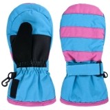 Ski Glove